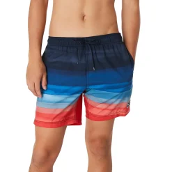 Swim Trunks & Boardshorts-Speedo Horizon View Redondo Edge Volley 17" Peacoat