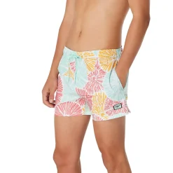Swim Trunks & Boardshorts-Speedo Printed Redondo Edge Volley 14