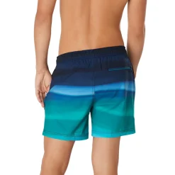 Swim Trunks & Boardshorts-Speedo Printed Redondo Edge Volley 17" Blue