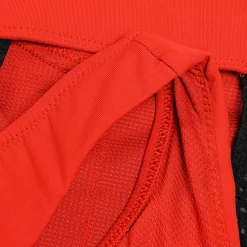 Two Pieces-Speedo Solid Highneck Top with Mesh Coquelicot Red
