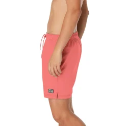 Swim Trunks & Boardshorts-Speedo Solid Redondo Edge Volley 17