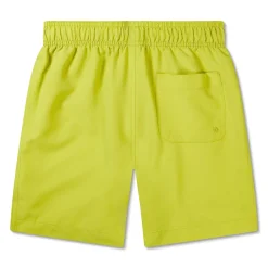 Boys Swimwear-Speedo Solid Redondo Volley 15" Bitter Lime